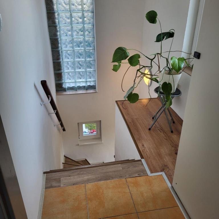Apartman ,,Rokytka" Prague Exterior photo